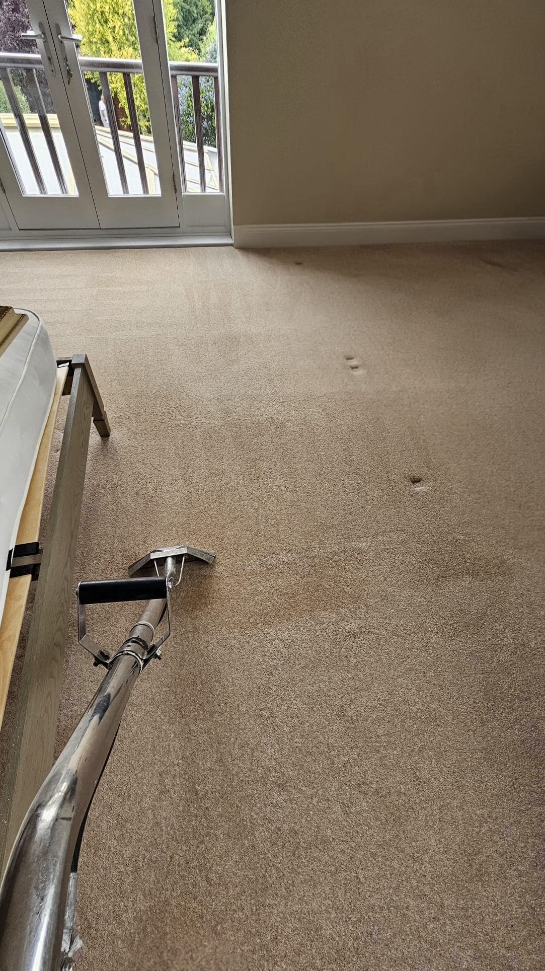 General Carpet Cleaning service - professional cleaning demonstration