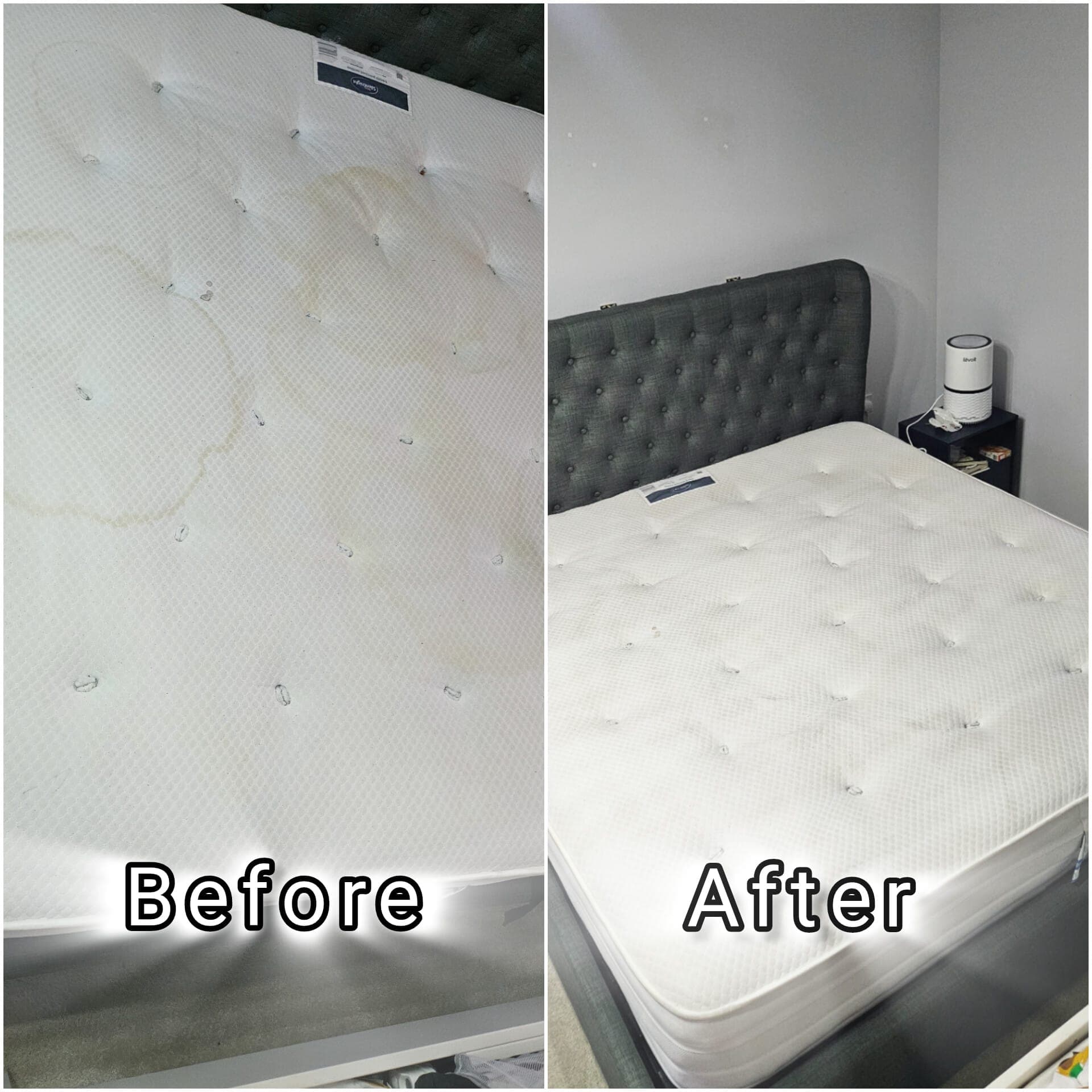 Mattress Cleaning service - professional cleaning demonstration