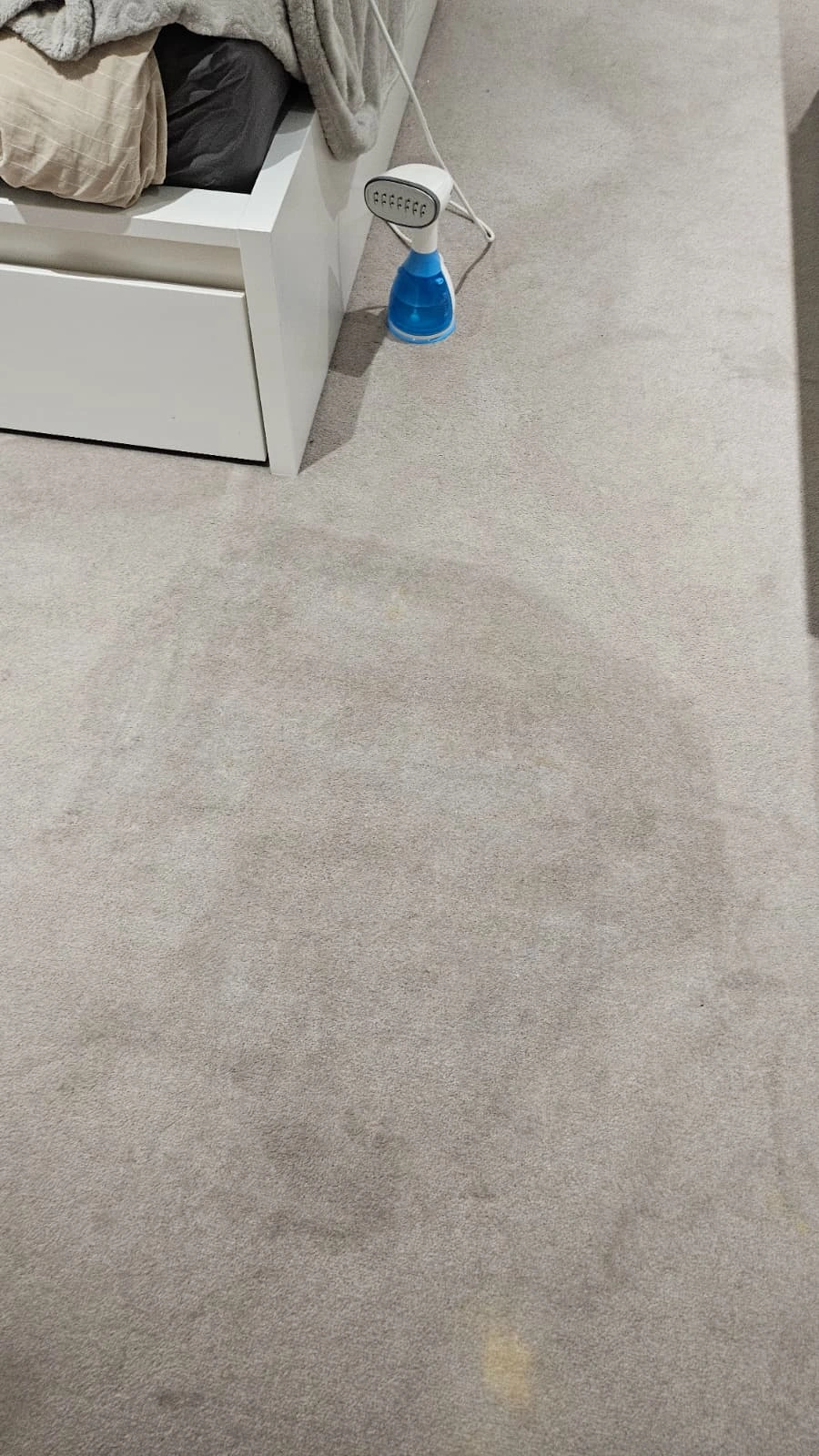 Pet Stain and Odor Removal in London